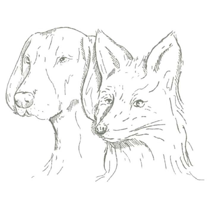 The Fox & Hounds